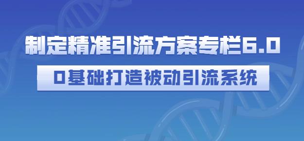 制定精准引流方案专栏6.0，0基础打造被动引流系统