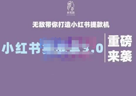 谢无敌·小红书实战营3.0，无敌带你打造小红书提款机 价值7999元